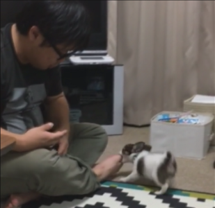 足の指 レオかまれる