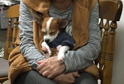 抱っこされて寝るレオ