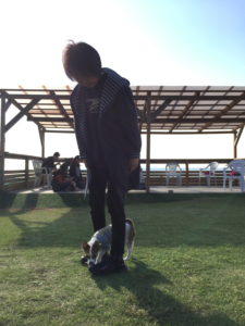 初めてのドッグラン